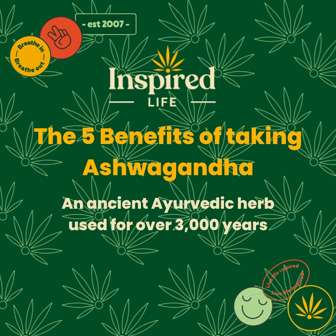 What is Ashwagandha? - Inspired Life CBD